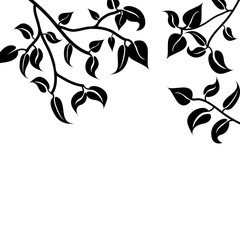 Vector silhouette of branch with leaves on white background. Symbol of nature.