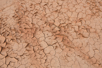 Textured background of cracked dry brown earth