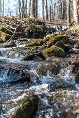 Fototapeta premium Spring stream in the Giant Mountains