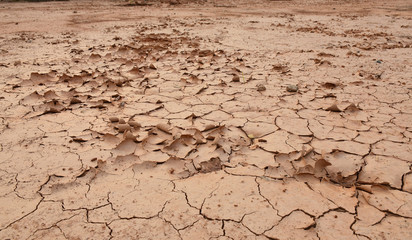 Textured background of cracked dry brown earth
