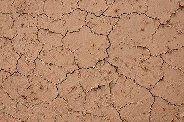 Textured background of cracked dry brown earth