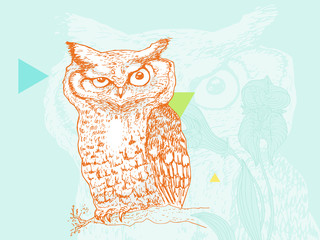 Curious owl on a branch, hand drawn illustration, detailed with rich texture. 
