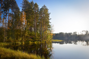 Lake landscape. Forest trees on the coast and fog on the water