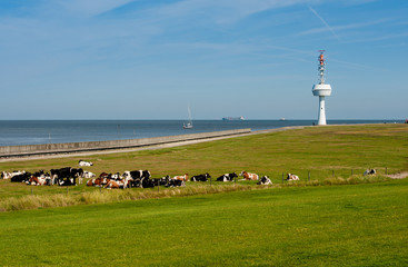 GERMANY, ISLAND NEUWERK, 2012-08-14: Modern radar tower for controlling the heavy ship traffic from...