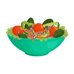 Vegetable salad vector icon.Cartoon vector icon isolated on white background vegetable salad.