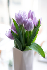 Bouquet of purple tulips