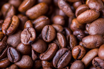Texture of coffee beans close-up view from above