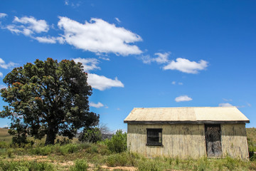 Obraz premium The road trip from Capetown to Durban is called the Garden Route