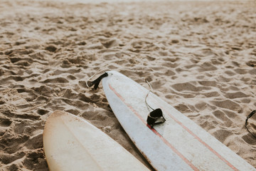 Surfboards laid on the beach