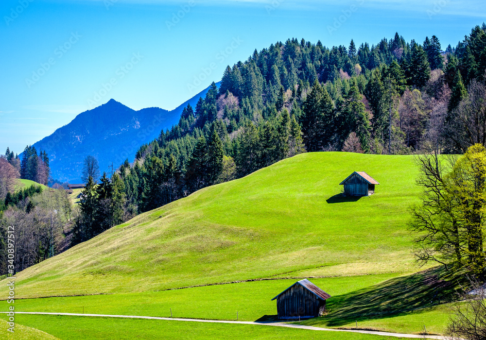 Wall mural view at the wamberg mountain - bavaria