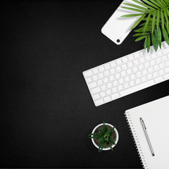 Flat layout of workplace. White office supplies and a plant on black leather background