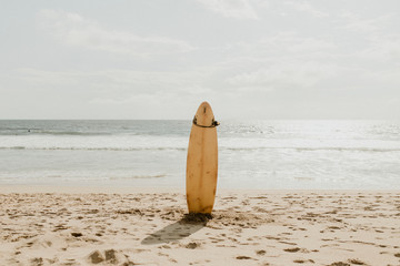 Single surfboard on the beach