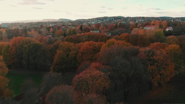 foliage of trees in autumn in frogner park, Oslo, Norway, aerial view