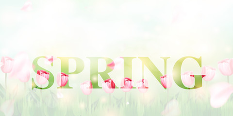 Naklejka na ściany i meble Hello Spring background with beautiful flowers and winter background. Spring design