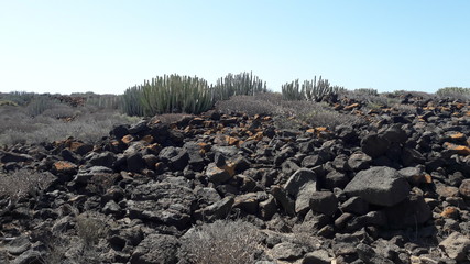 pile of stones
