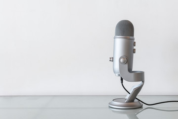 Stainless steel studio microphone