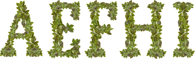 English alphabet from young leaves of apple tree leaves. Concept for design.