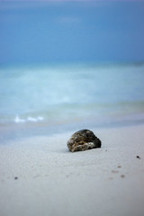 A portrait shot of rock on white sandy beach and clear blue sky