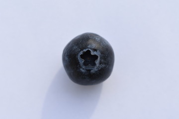 singolo mirtillo