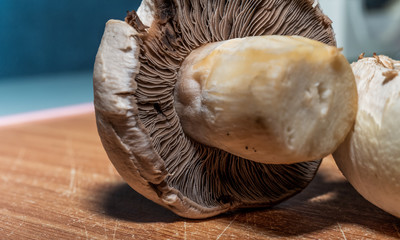 Close-up macro detail photo mushrooms on yellow coffee colored chopping board.
