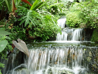 waterfall and stream in tropical forest