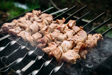 meat on the grill on the street