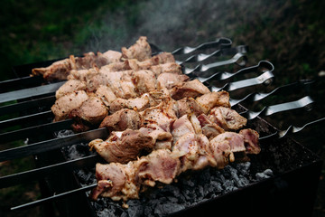 meat on the grill on the street