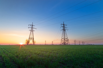 power line in a field of green wheat / early spring industry on the background of a green field