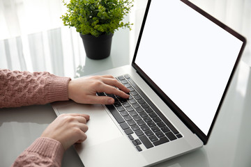 female hands on laptop keyboard with isolated screen in office