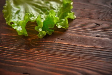 Fresh live lettuce leaf on a textured wooden background