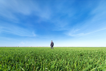Fototapeta na wymiar field of young wheat / man on the field agriculture
