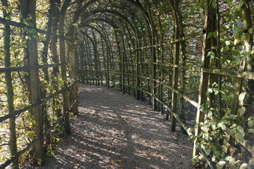 Garden Maze Tunnel