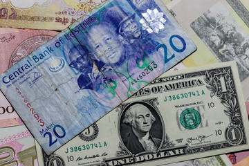One  US Dollar with Different Lesotho loti Banknotes