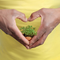 Naklejka na ściany i meble earth day with hand holding green plant on light in egg shell background stock photo