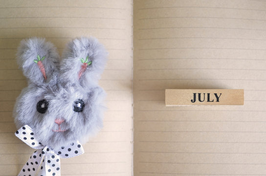 July month, Rabbit notebook Calendar.