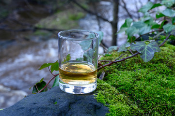 Scotch single malts or blended whisky spirits in glasses with water of river Spey on background, Scotland