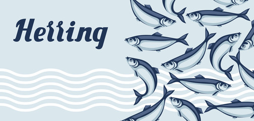 Background with herring fish. Pacific sardine. - obrazy, fototapety, plakaty