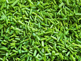 Stahlender grüner, frisch geschnittener Schnittlauch