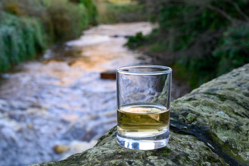 Scotch single malts or blended whisky spirits in glasses with water of river Spey on background, Scotland