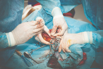 Process of operation paws dog in a veterinary clinic. Operation of rupture of the anterior cross...