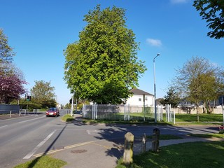 street view with sky