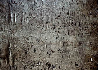 Naklejka premium Brown textured background