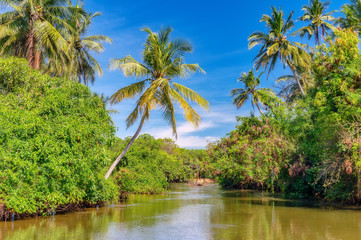 Obraz premium Dutch canal in Negombo.