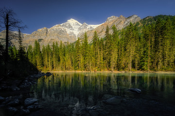 Fototapeta na wymiar Mount Robson and Whitehorn Mountain, Kinney Lake,Jasper Alberta Kanada