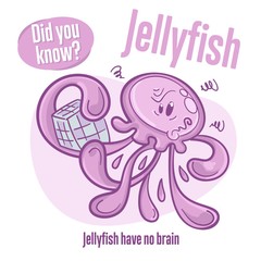 Medusa. Interesting facts about jellyfish. Did you know?