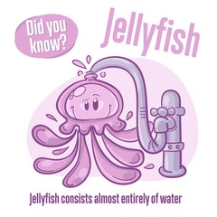 Medusa. Interesting facts about jellyfish. Did you know?