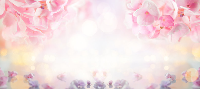 Beautiful spring flowers blurred background with bokeh effect. Flower concept with purple and pink hortensia.