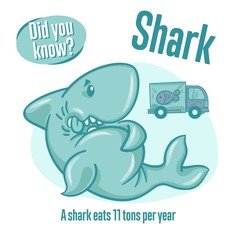 Interesting facts about sharks. Did you know?