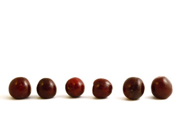 Plum Fruit