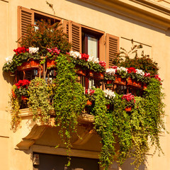 Fototapeta na wymiar beautiful green balcony on a summer day